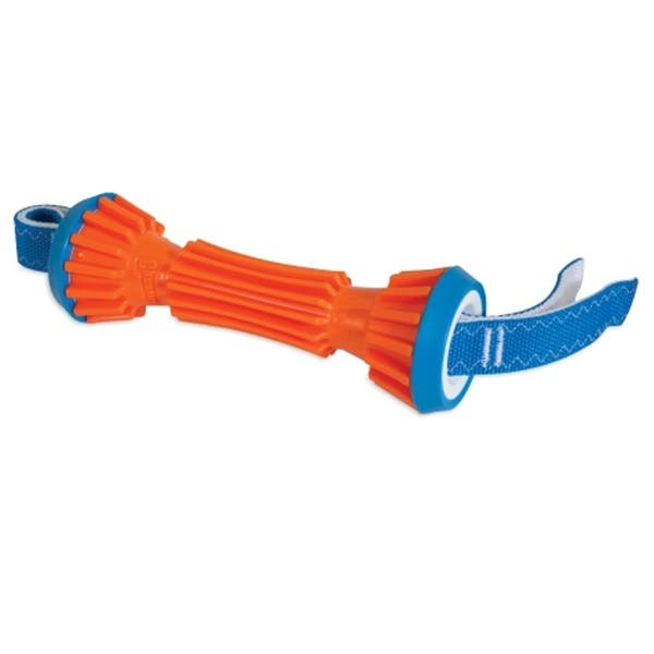 Chuckit! Dog Toy, M, Polypropylene, Blue/Orange