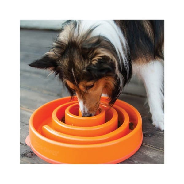 Outward Hound Fun Feeder, 8-1/2 in Dia, Mini, 2 cup Volume, ABS, Orange