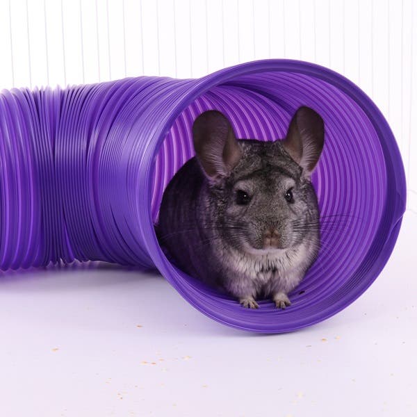 Ware 03294 Fun Tunnel, Ferret, Guinea Pig, Rat, L, Plastic