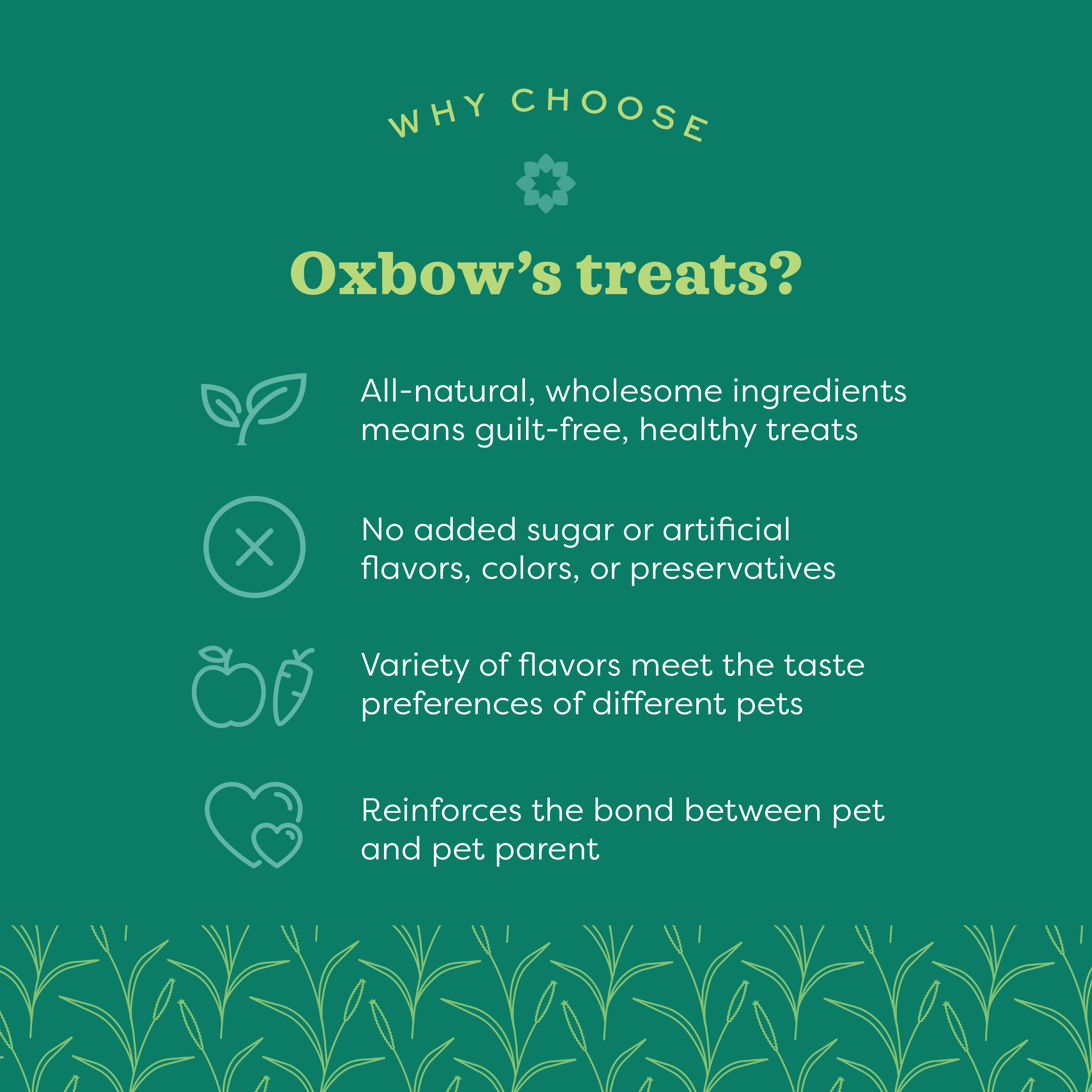 Oxbow Simple Rewards Veggie Treat, Vegetable, 2 oz