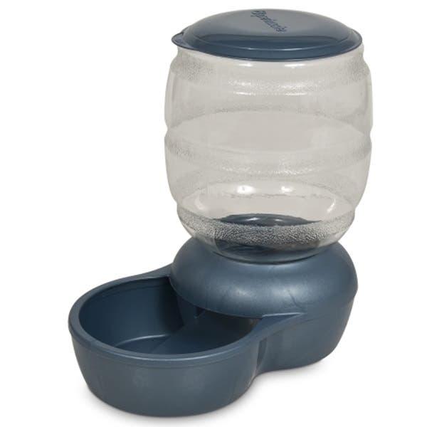 Petmate Replendish Pet Feeder, M, 10 lb Volume, PET, Pearl Peacock Blue