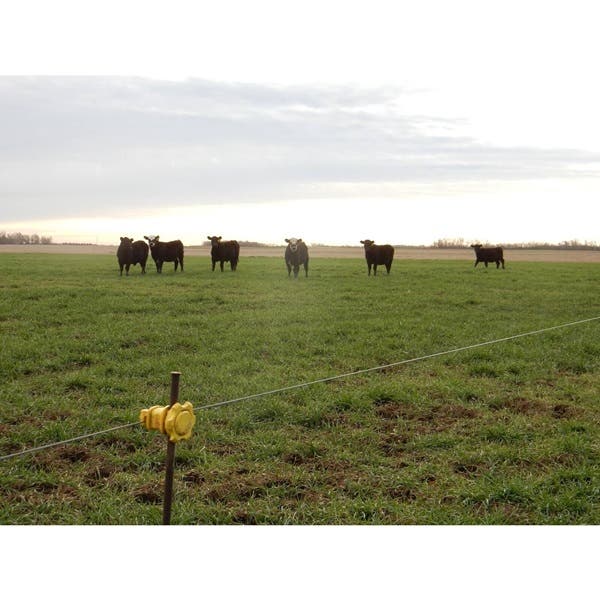 OK Brand Electric Fence Wire, 3/4 Mile