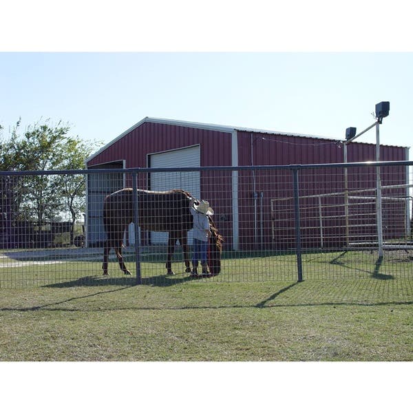 OK Brand Galvanized Horse Panel 16 ft x 5 ft