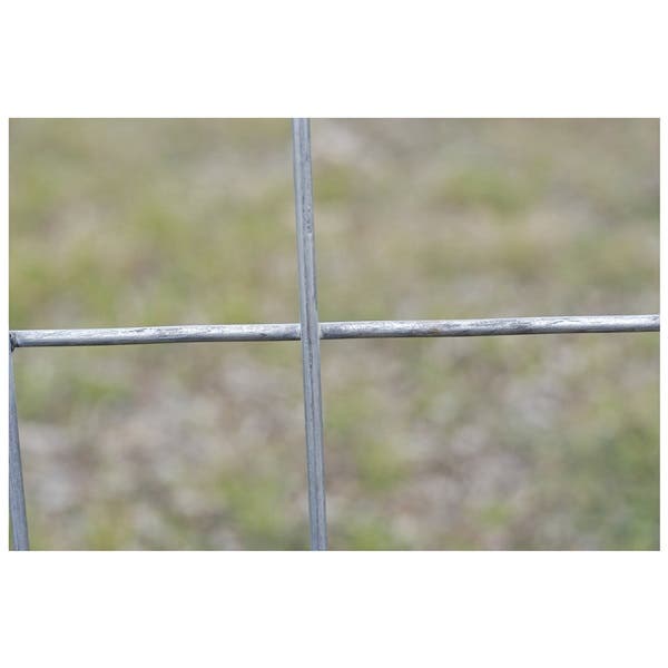 OK Brand Galvanized Horse Panel 16 ft x 5 ft