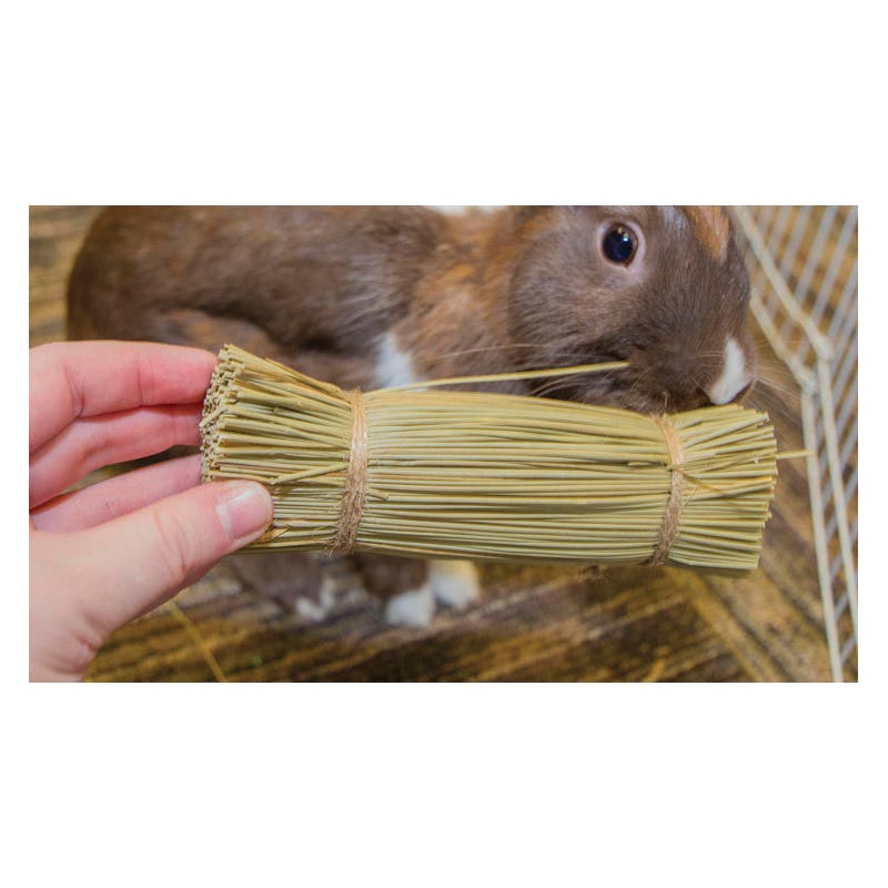 Ware Bristle Bunches, Chinchillas, Guinea Pigs, Pet Rats, Rabbits Pack