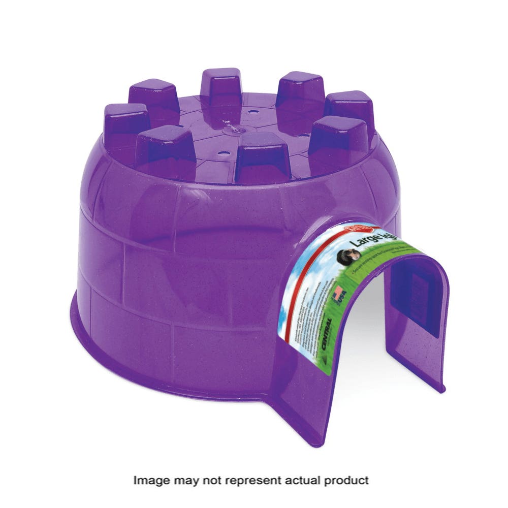 Kaytee 100079168 Igloo Hideout, Large, Plastic, Assorted