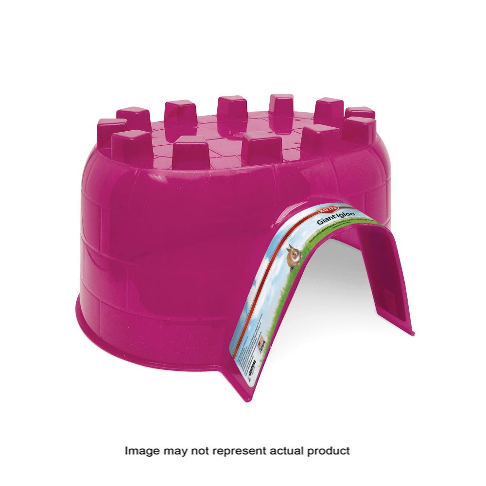 Kaytee 100079169 Igloo Hideout, Giant, Plastic, Assorted