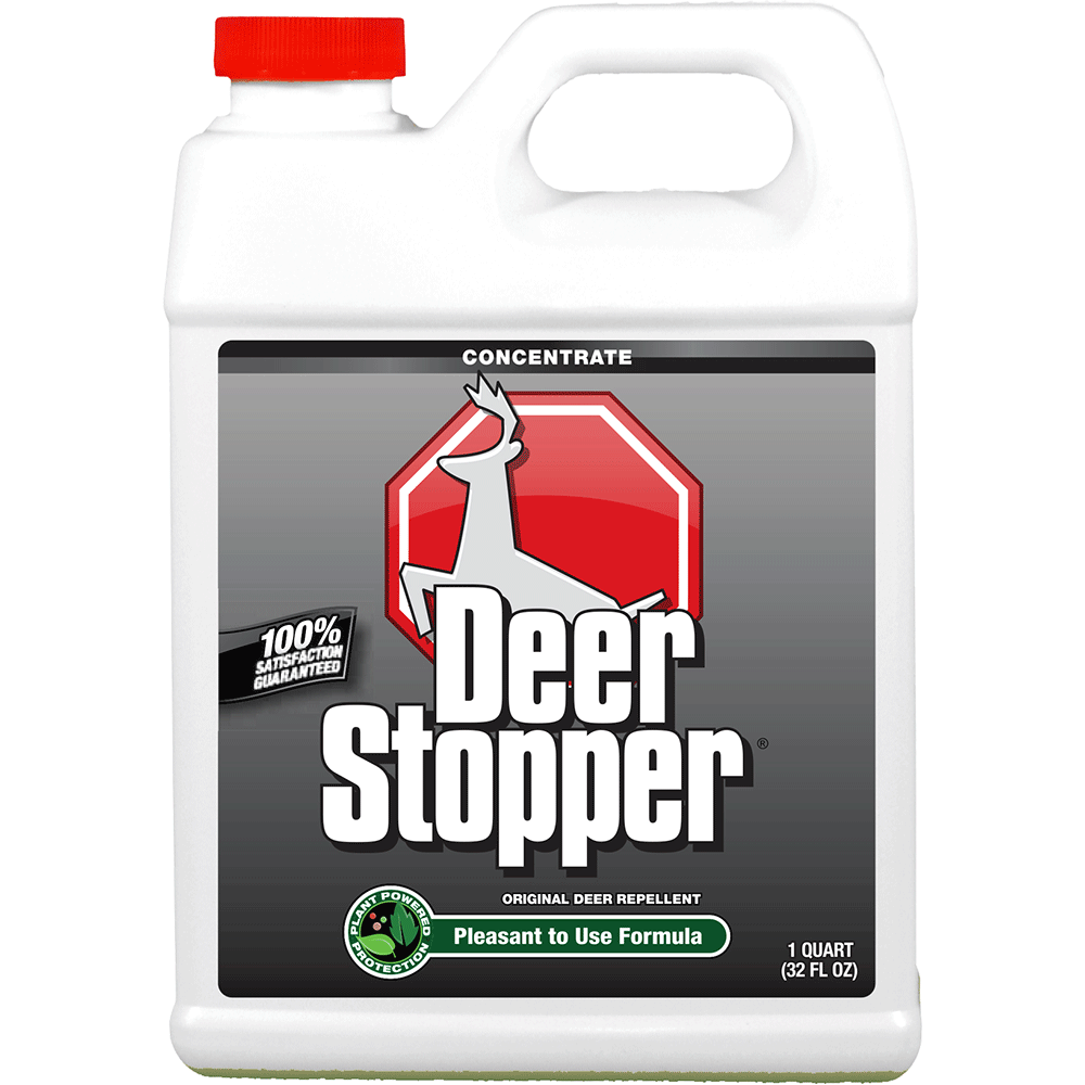 Animal Stopper Deer Stopper, Concentrate, 5 in L