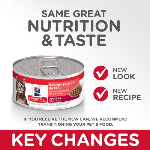Science Diet 4536 Cat Food, Savory Salmon Flavor, 5.5 oz Can