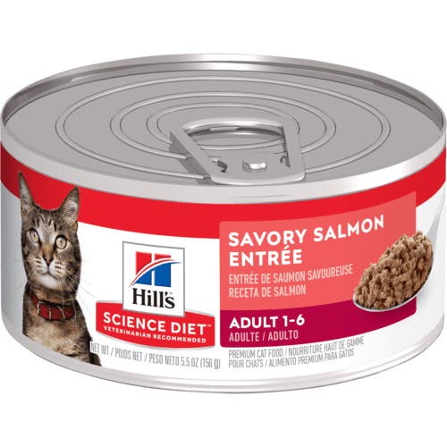 Science Diet 4536 Cat Food, Savory Salmon Flavor, 5.5 oz Can