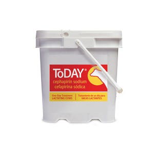 Boehringer Ingelheim Today Mastitis Tube (RX Only)