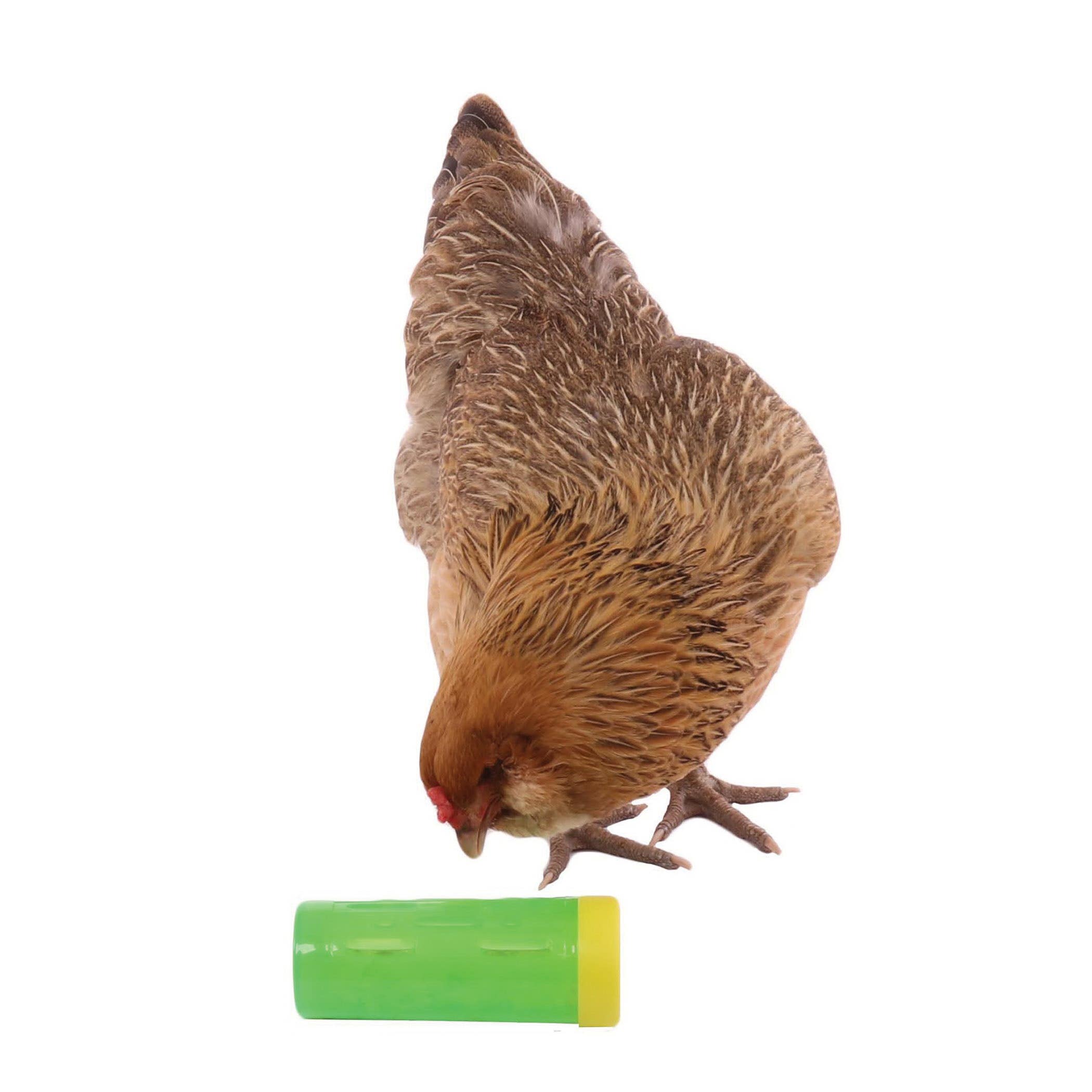 Ware Chicken Treat Roller, Green
