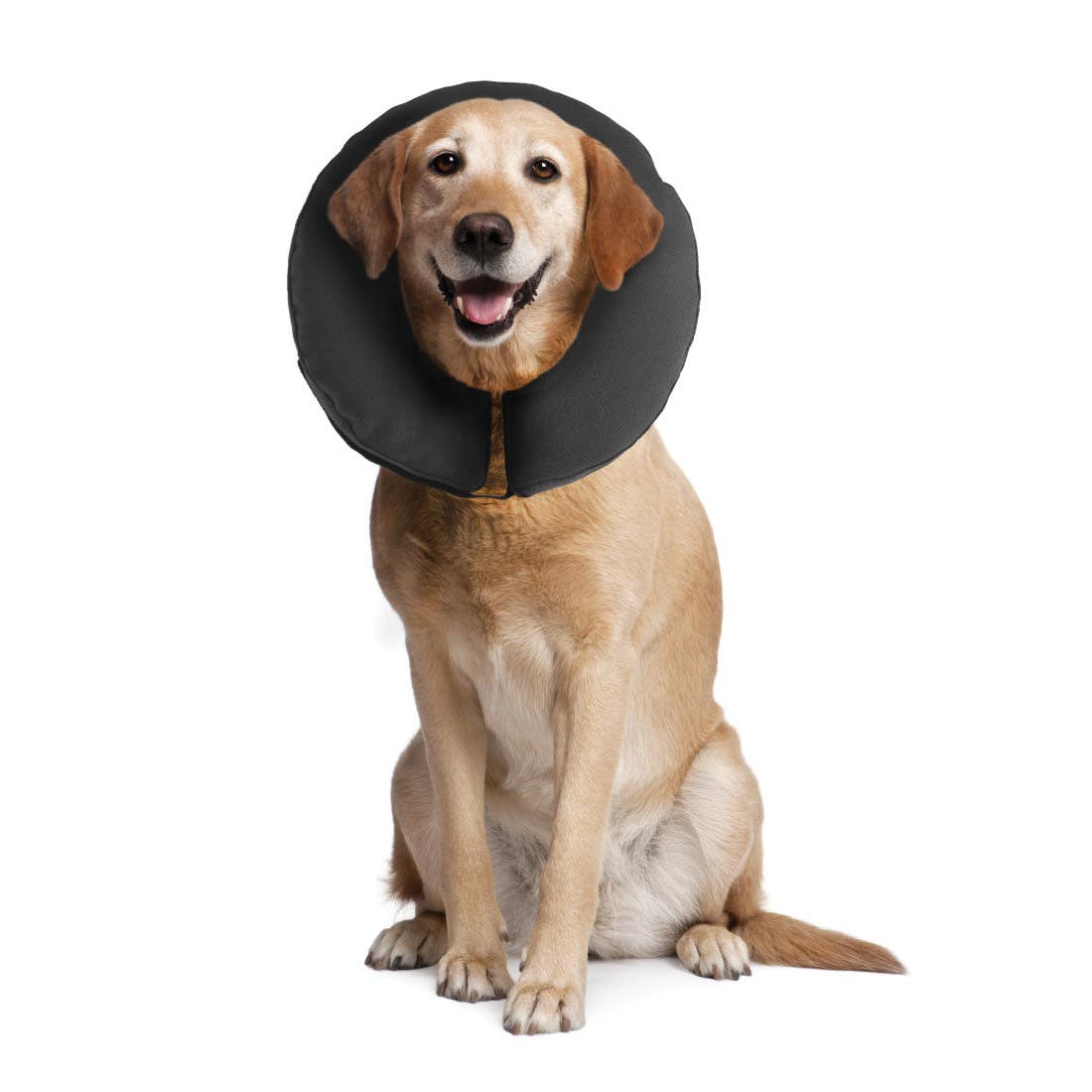 zenpet ZenCollar 5914 Recovery Collar, Fits Neck Size: >22 in, Dog, Canvas, Black