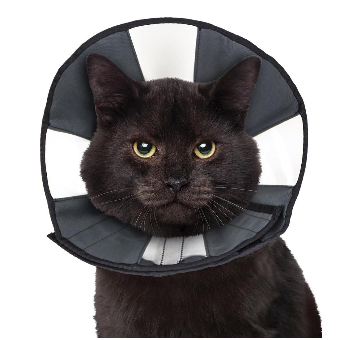 zenpet ZenCone 5922 Recovery Collar, Fits Neck Size: 15 to 18 in, Cat, Dog, Canvas, Gray