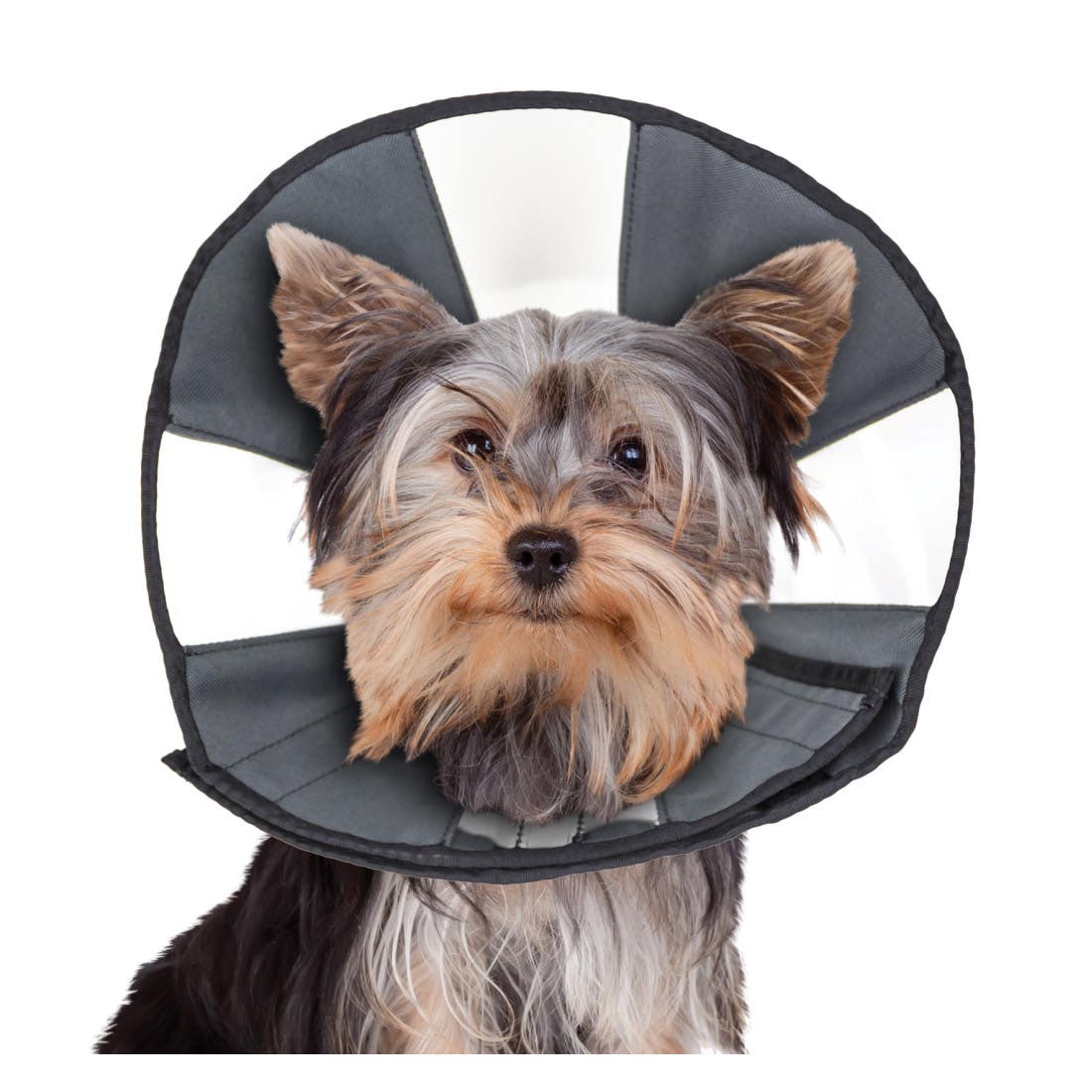 zenpet ZenCone 5922 Recovery Collar, Fits Neck Size: 15 to 18 in, Cat, Dog, Canvas, Gray