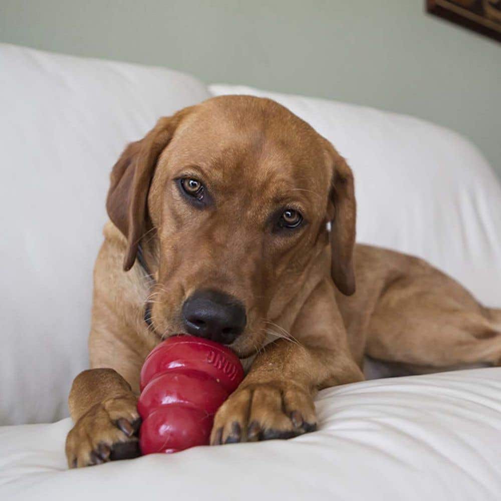 Kong Snacks Dog Treat, Liver, 14.3 oz