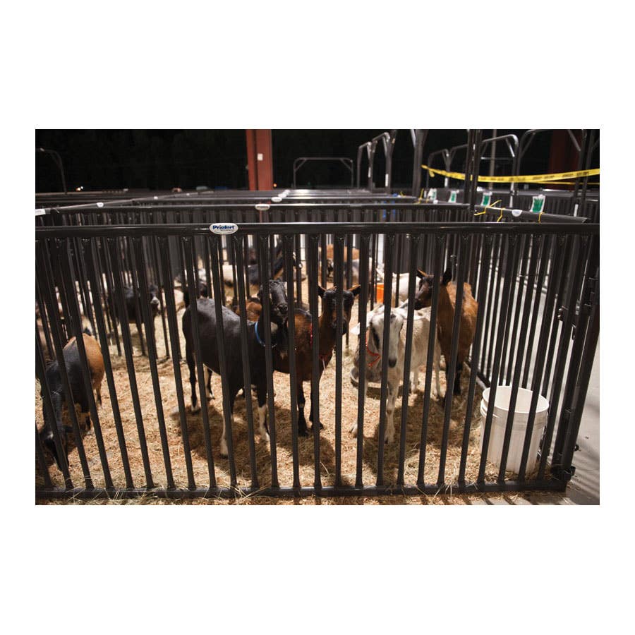 Priefert Sheep & Hog Panel – 6' Vertical Bar