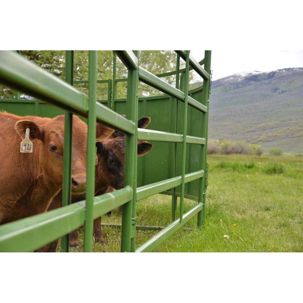 Powder River Classic Cattle Panel, 64 in