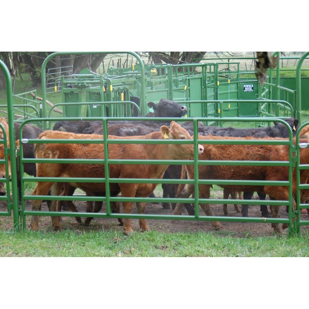Powder River Classic Cattle Panel, 64 in