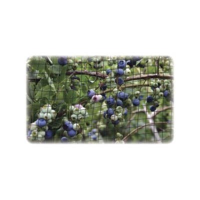 Dalen Bird-X Protect Net, 28 in L, 28 in W, 5/8 in Mesh, Polypropylene