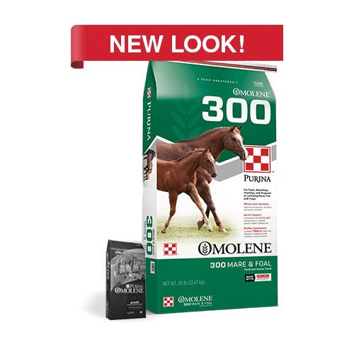 Purina Omolene 300 32985 Growth Horse Feed, Breeding, Growing Lifestage, Textured, 50 lb