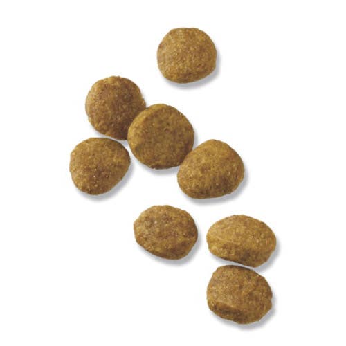 Pro Plan Focus Dog Food Chicken and Rice Dry 34 lb