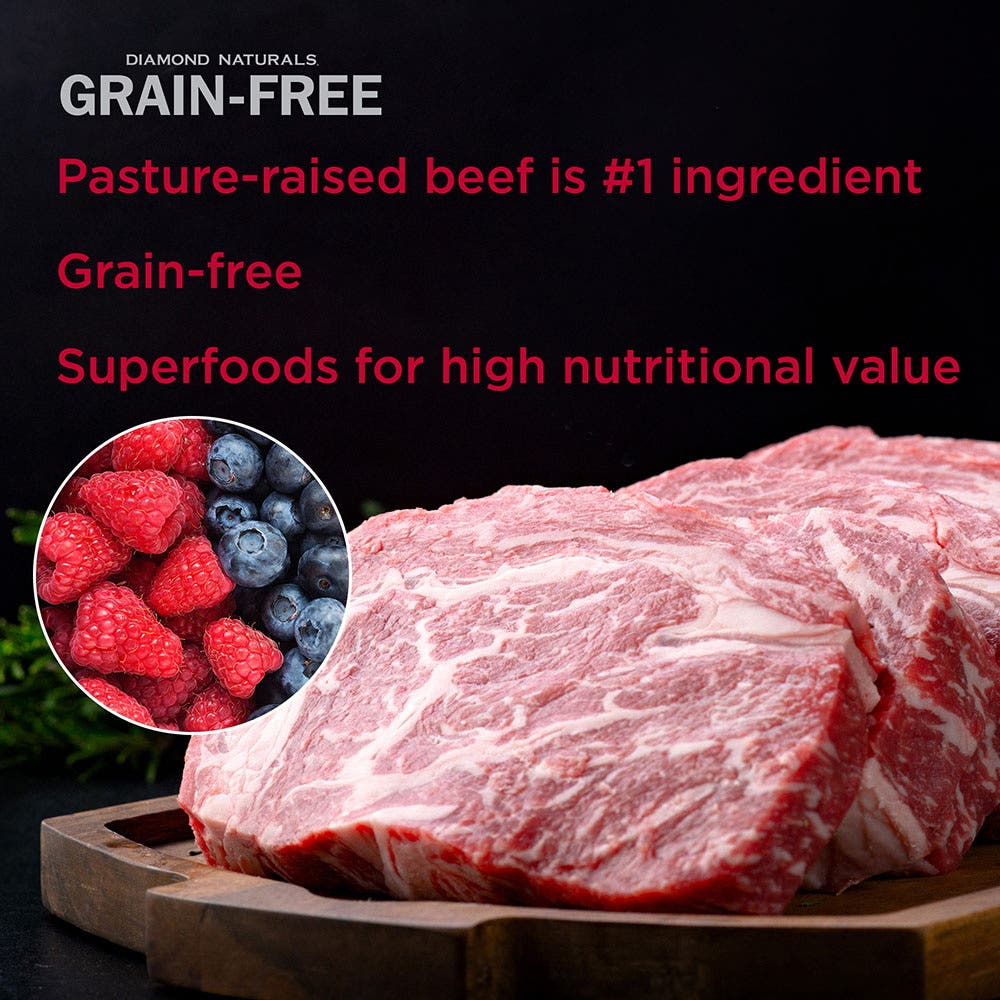 Diamond Naturals Grain-Free Beef & Sweet Potato Dry Dog Food, 14 lb