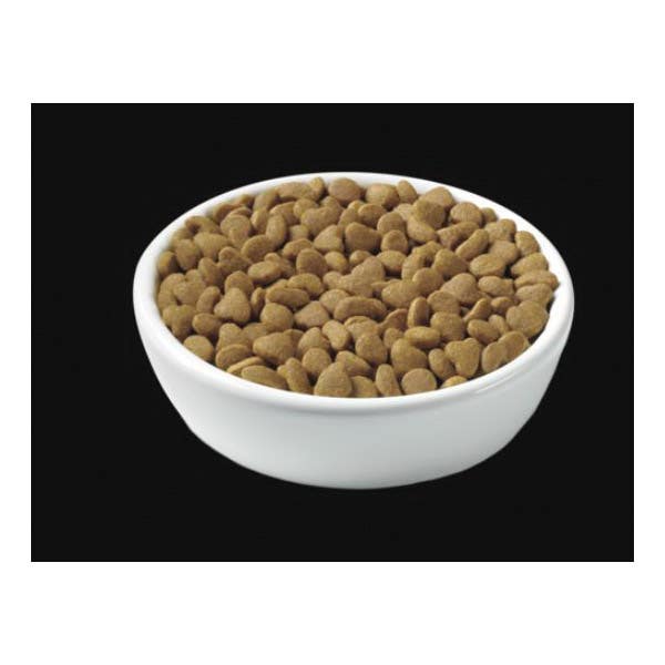 Pro Plan Focus Cat Food Lamb and Rice Dry 16 lb