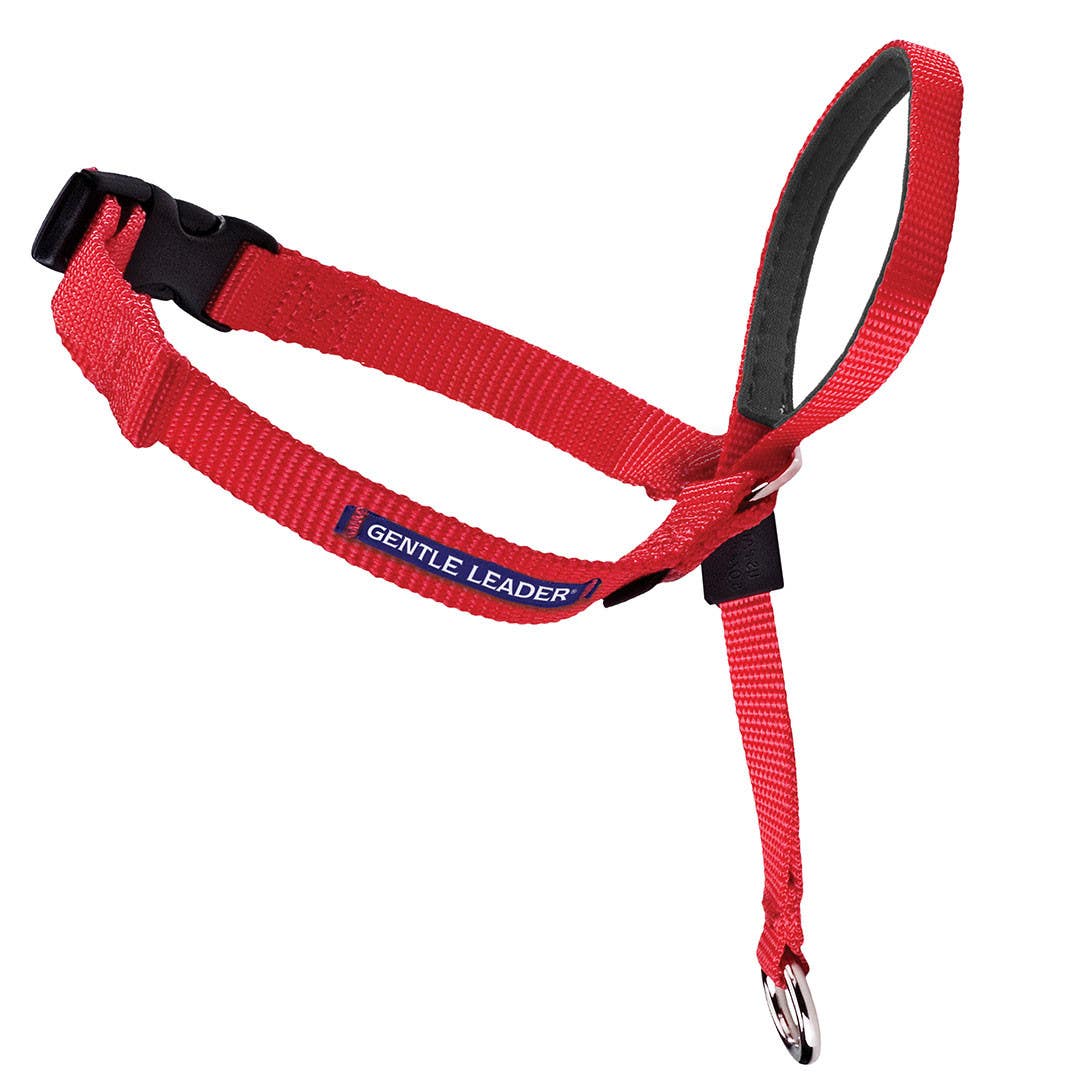 PetSafe Gentle Leader Dog Collar, 9 to 14 in Neck, Neoprene/Nylon, Red