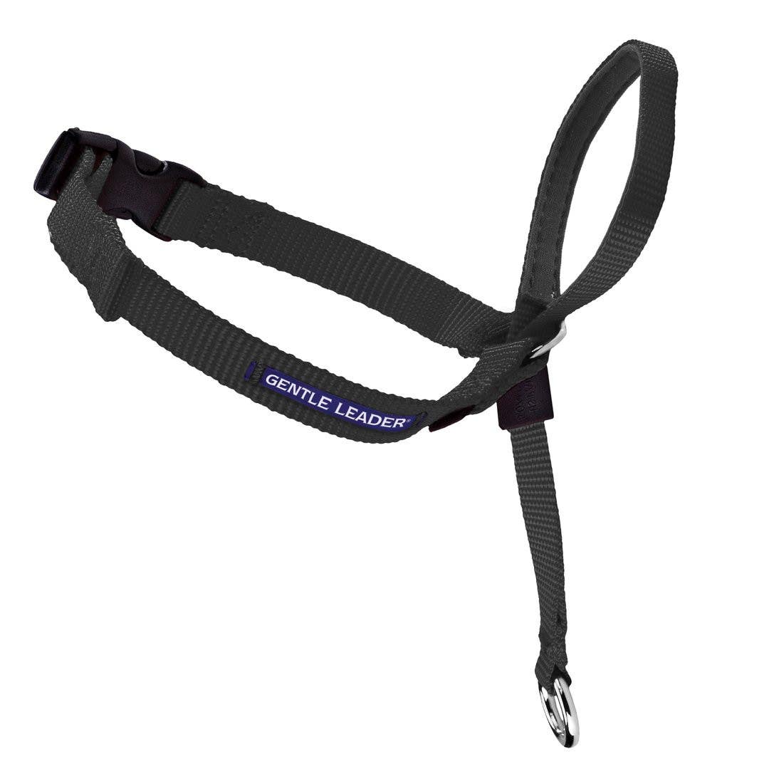 PetSafe Gentle Leader Dog Collar, 9 to 14 in Neck, Neoprene/Nylon, Black