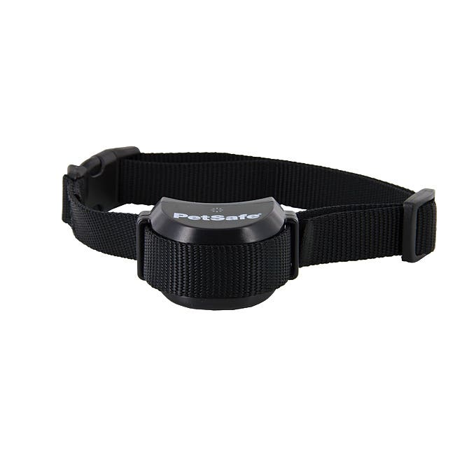 PetSafe Stay + Play Wireless Rechargeable Collar, 6 to 28 in Neck