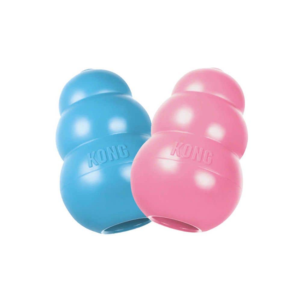 Kong Dog Toy, XS, Rubber, Blue/Pink