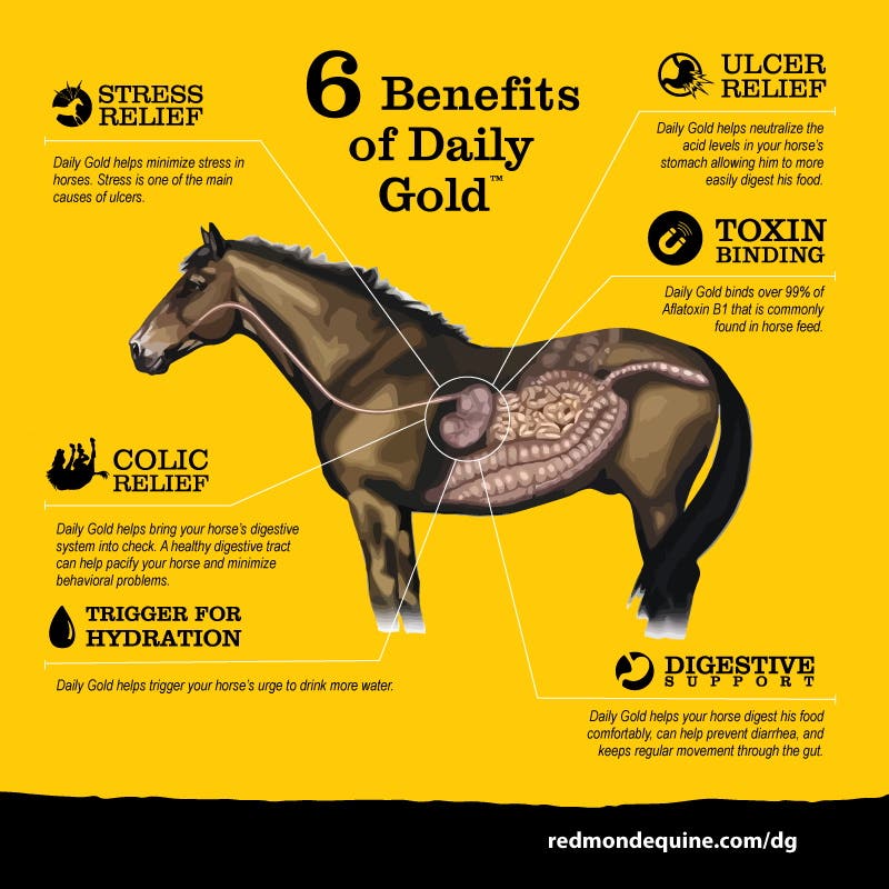 Redmond Daily Gold Natural Equine Supplement 4.5 lb