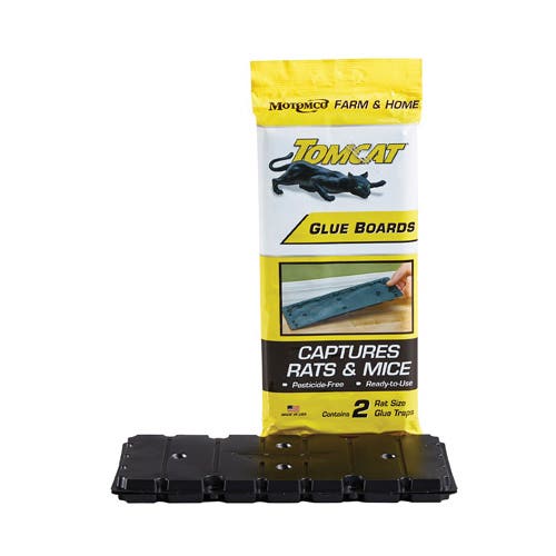 Tomcat Glue Board Trap Large 2 Pack