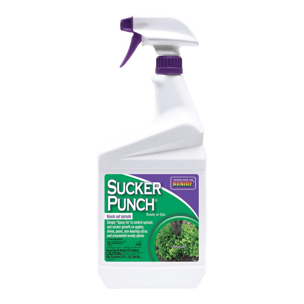 Bonide Sucker Punch, Liquid, White, 16 oz