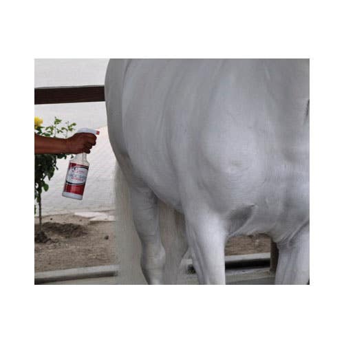 Shapley's MAGIC SHEEN Hair Polish, Liquid, White, Mint, 32 oz Bottle