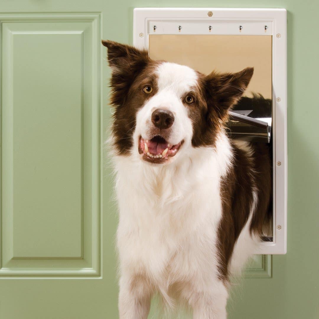 PetSafe Pet Door, 16 in W, 27-1/4 in H, Plastic, White