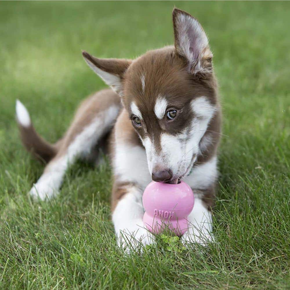 Kong Easy Treat Dog Treat, Puppy, 8 oz