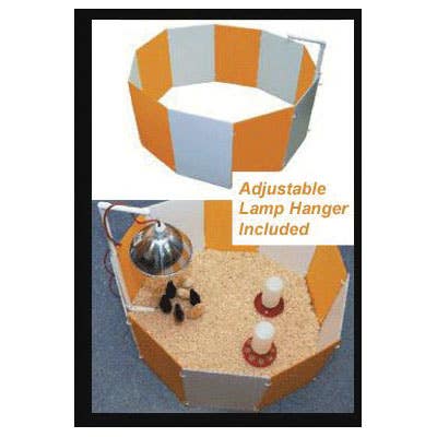 Farm Innovators Baby Chick Starter Home, Orange/White