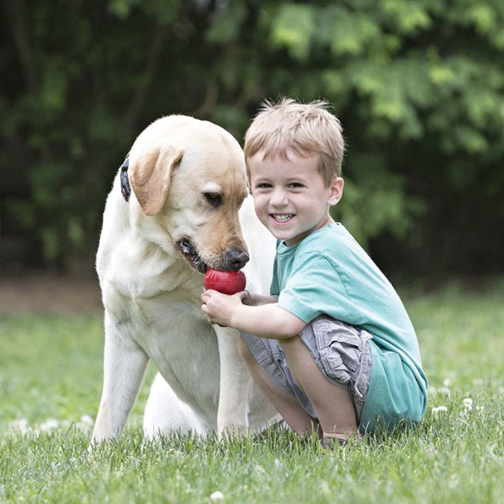 Kong Classic Dog Toy, S, Rubber, Red