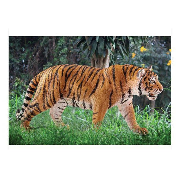 Schleich-S Toy, Tiger, Medium, Plastic