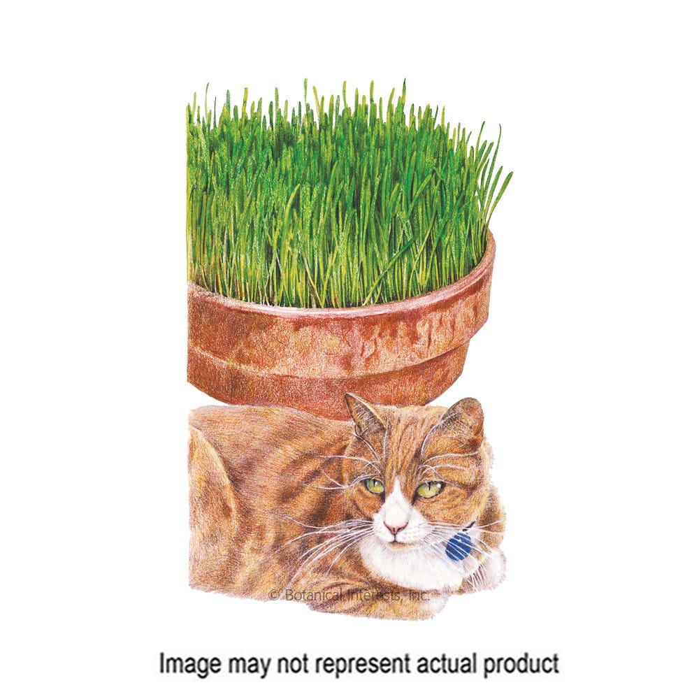 Botanical Interests Cat Grass Seed, 15 g Packet