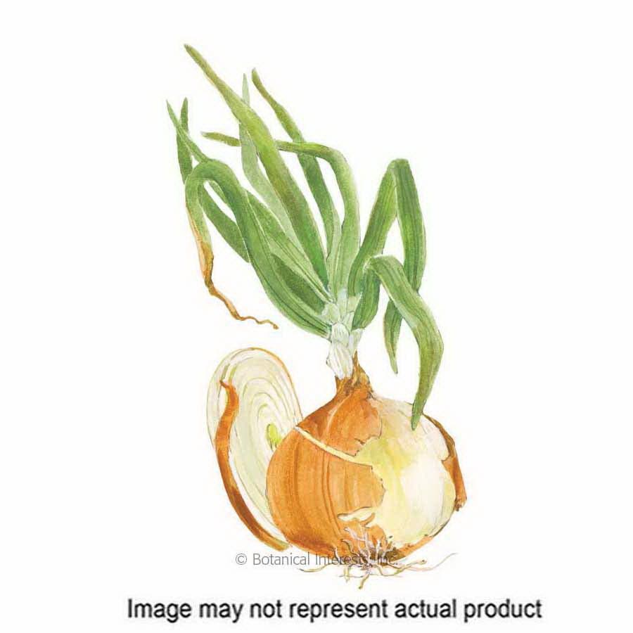Botanical Interests Vegetable Seed, Yellow Granex PRR Bulb Onion, Allium Cepa, 750 g