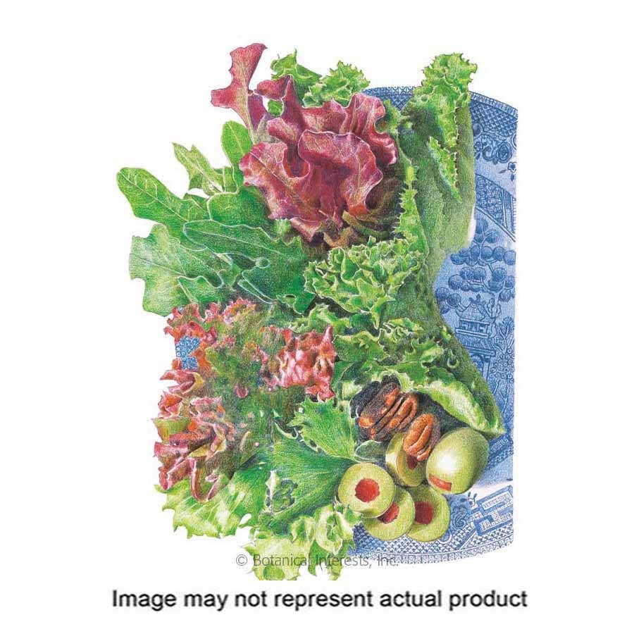 Botanical Interests Vegetable Seed, Mesclun Lettuce, Lactuca Sativa, Fall, Winter Planting, 1.5 g