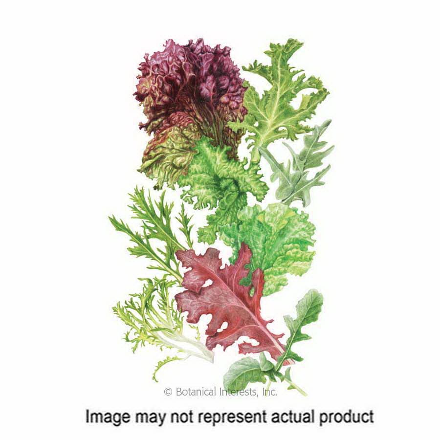 Botanical Interests Vegetable Seed, Mesclun Lettuce, Assorted Species, Fall Planting, Winter Harvest, 1.5 g