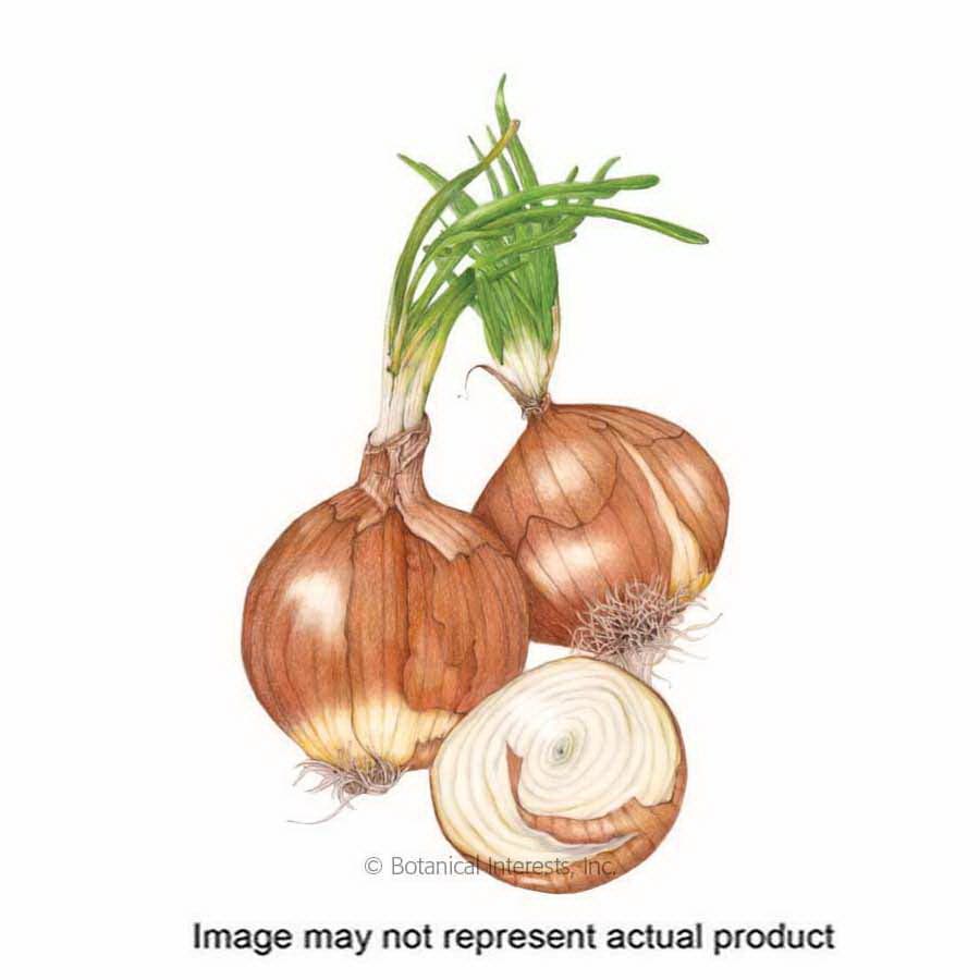 Botanical Interests Vegetable Seed, Onion, Allium Cepa, 750 mg