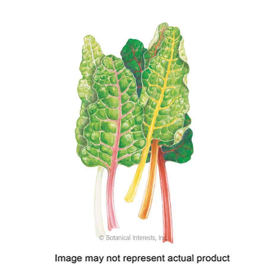Botanical Interests Vegetable Seed, Silverbeet Swiss Chard, Beta Vulgaris, Fall Planting, 1.5 g Packet