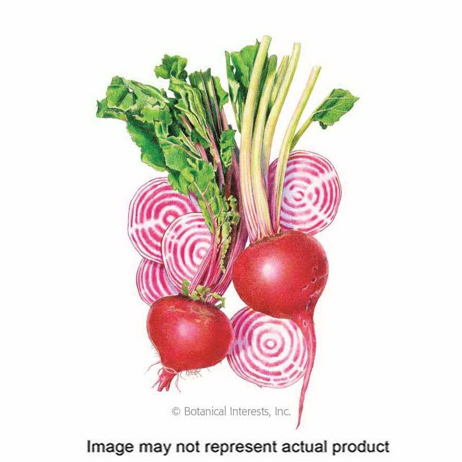 Botanical Interests Vegetable Seed, Chioggia Beet, Beta Vulgaris, Spring Planting, Summer Harvest, 2 g Packet