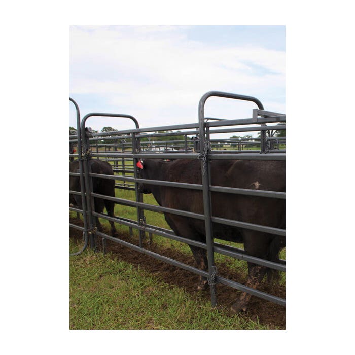 Priefert Alley Frame – Gray, Powder?Coated