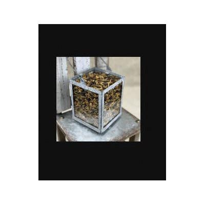 Happy Hen Treats Bug Bonanza Hen Treat, 30 oz